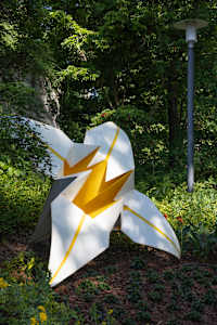 Stargazer (lily without stem)