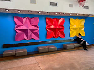 Perennial Stars, Flowers Unfolded, Tulips for Betty (triptych)