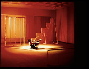 Farewell Rose, University of Northern Iowa Art Gallery