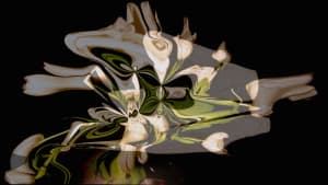 HD Morphs / Fluid Dynamics