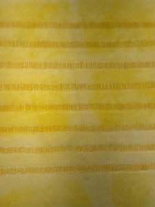 Maize