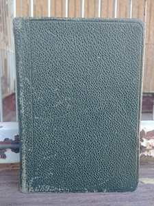 Journal 7