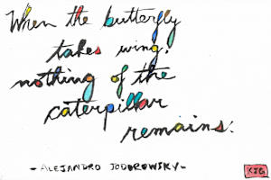 When the butterfly takes wing