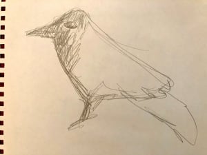 Untitled Sketch