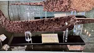 Medieval Iron Battle Blade
