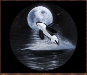 "Orca Moon"