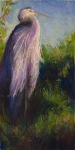 Blue Heron -Taking In The View