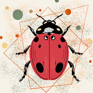 Ladybug