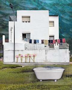 White Wash