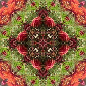 Pine, Lobby Flowers series