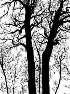 Two Trees
