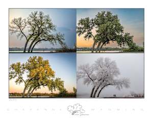 Four Seasons Giclee
