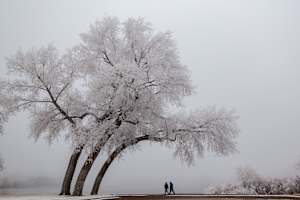 Winter Lean Giclee