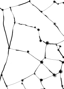 081217 - Series: Patterns of Change