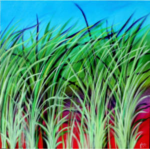 Reeds 0404