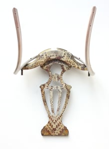 13 Bovine Chair