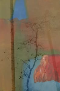 13.0 RED ROCK IN/Forest