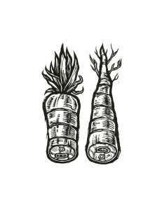 Roots