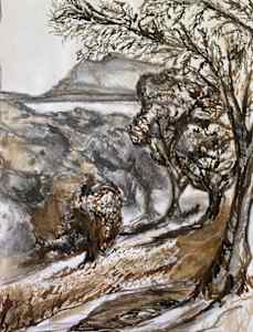 Olive Grove