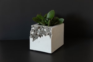 Big white planter (Half Moon Bay rocks)