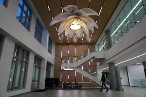 Bloom (MU - Clinical Health Science and Student Wellness)