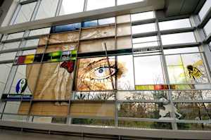 Anatomy Revealed (University of Toledo - Mercy Center)