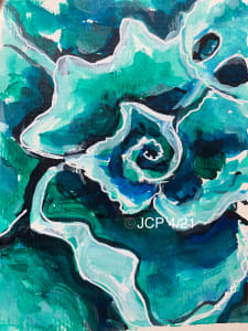 Swirling echeveria