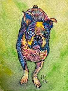 Murphy Eyeing the Treat in Your Hand.