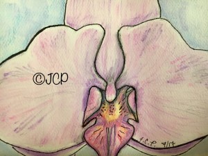 Lavender orchid