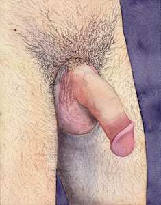 Penis Portrait LXII
