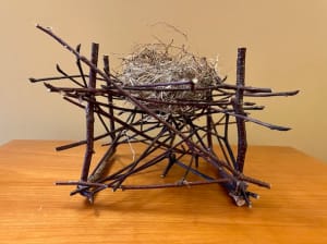 Nest