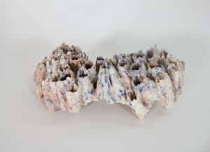 Nothing is Required of You Here 04 (La Albiceleste)