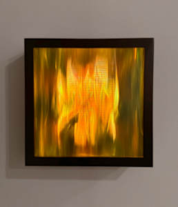 Reduced Landscape: Burn 1