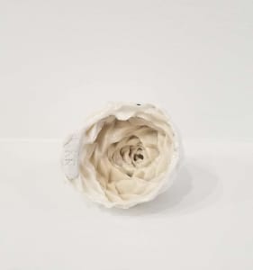 Place Based Pines (MT red)