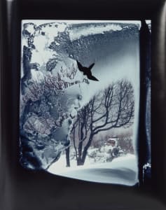 Snowstorm