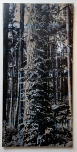 48x24 collage on wood panel 6/6
