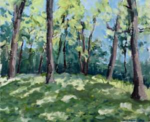 Crystal Spring Scientific and Natural Area - Clearing