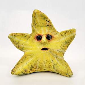 Favor the Fallen Star