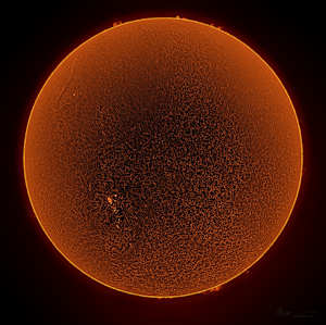 The Big Sun 1st Print