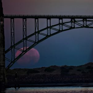 Goodbye, Moon