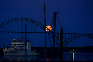 Sturgeon in Blue Hour