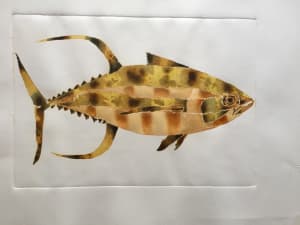 Yellow fin tuna, right