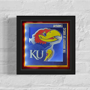 FANDOM Collection - College/Universities