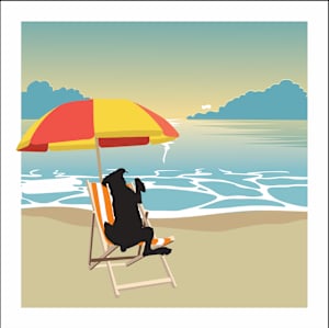 Wrigley Beach Comer BOX