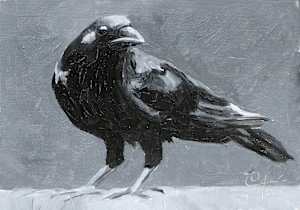 My Covid Corvid Friend
