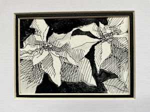 Dance of the Pointsettias