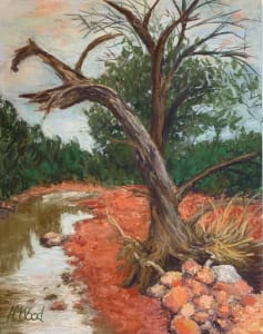 Tree by Arroyo (Dead Tree in Sedona)