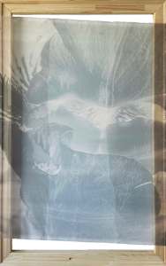 *Botanical Veil*