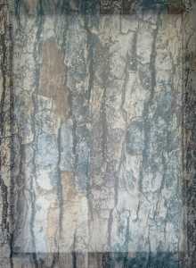 *Shadow Plane (Bark Study)*