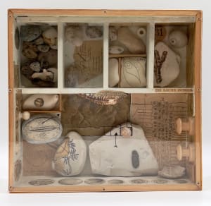 THE EARTH'S INTERIOR